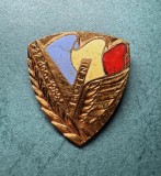 Insigna comemorativa revolutie 22 Decembrie 1988 Boteni