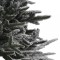 Foto  - 4
