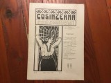 Revista Cosinzeana anul II nr 24 / 16 iunie 1912 - 12 pagini !