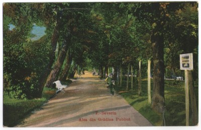 1917 Drobeta-Turnu Severin, aleea din Gradina Publica (jud. Mehedinți) foto