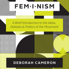 Feminism: A Brief Introduction to the Ideas, Debates, and Politics of the Movement