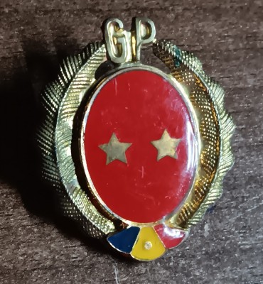 QW14 - Emblema militara - Comunism - Garzi patriotice - piesa de colectie foto