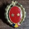 QW14 - Emblema militara - Comunism - Garzi patriotice - piesa de colectie