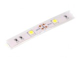 Bandă LED Alb Rece 12V IP65