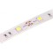 Bandă LED Alb Rece 12V IP65