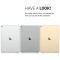 icon 6