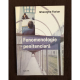 Fenomenologie penitenciara - Gheorghe Florian