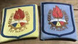 Lot 2 Ecusoane Pionier Tot Inainte Noi Cu Eticheta Originala Select Bucuresti RSR Comunism Militaria Colectie