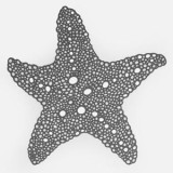 Suport Farfurie PVC Gri Stea de Mare 45x45cm - Stil Vara, CMCLASS