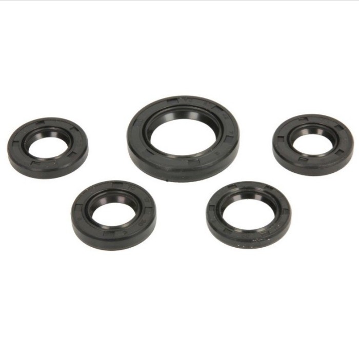 Set semeringuri ambielaj GY6-50 (139QMB) - Baotian - First Bike - Kymco - Rex &ndash; Peugeot Vclic - Rieju - Sachs 4T 50-80cc