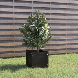 Jardiniera Gradina Gossi, Lemn Pin Masiv, 31x31x31 cm, Negru, Ghiveci Flori, Legume, Ierburi, Orificii Drenare