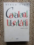 DIEGO VIGA - CAVALERUL LIBERTATII