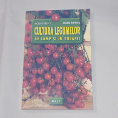 VICTOR POPESCU - CULTURA LEGUMELOR IN CAMP SI IN SOLARII