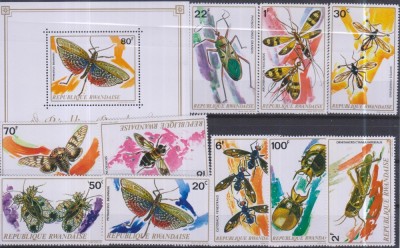 Timbre cu insecte din Rwanda foto