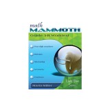 Math Mammoth Grade 3-B Worktext