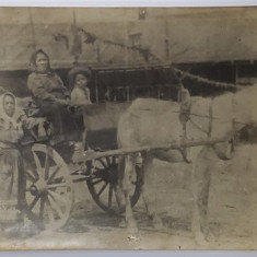 DOUA FEMEI CU COPILUL IN SARETA TRASA DE UN CAL , FOTOGRAFIE , INTERBELICA