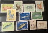 Lot Coreea de Nord 1962-1965 - Fauna Coreeană, Leopardul de Amur, Veverițe, Iepure, Pești, Cocor, 11v, Ștampilat -A333