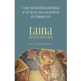Taina Spovedaniei. Cum Sa Invatam Pocainta Si Sa Nu Ne Mai Ascundem De Dumnezeu, Nectarie Morozov - Editura Sophia