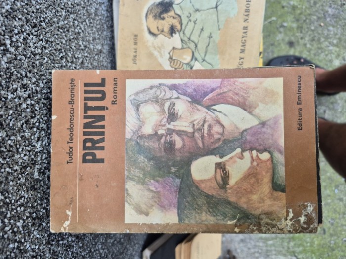 Prințul vintage