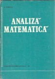 Analiza matematica - Octavian Stanasila