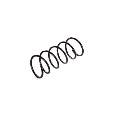 Arc spiral FORD MONDEO II combi BNP Magnum Technology foto
