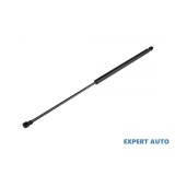 Amortizor capota fata Citroen C6 (2005-&gt;) [TD_] #1