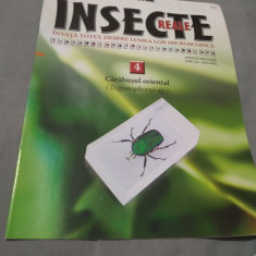 REVISTA INSECTE REALE NR 4 CARABUSUL ORIENTAL DOAR REVISTA