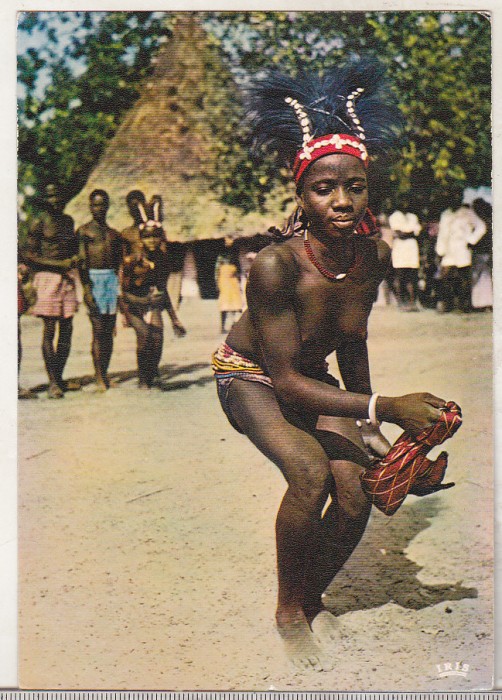 bnk cp Africa - Dansatoare - necirculata