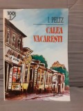 CALEA VACARESTI-ISAC PELTZ EDITURA GRAMAR 100+1 CAPODOPERE ALE ROMANULUI ROMANESC