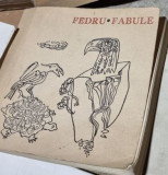 Fedru - Fabule