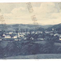 3504 - BRAD, Hunedoara, Panorama, Romania - old postcard - used - 1911