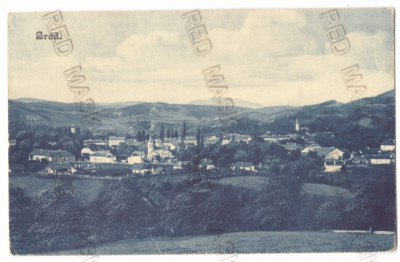 3504 - BRAD, Hunedoara, Panorama, Romania - old postcard - used - 1911 foto
