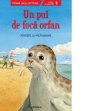 Prima mea lectura. Un pui de foca orfan. Poveste cu pictograme - Gabriela Krummel