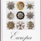 AS - CARSTEN ZEIGE - EUROPA (CATALOG 1700-1990 )