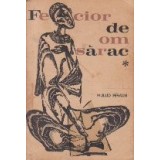 Fecior de om sarac