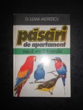 ILEANA ANDREESCU - PASARI DE APARTAMENT. MICA ENCICLOPEDIE (1996, ed. cartonata)