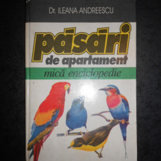 ILEANA ANDREESCU - PASARI DE APARTAMENT. MICA ENCICLOPEDIE (1996, ed. cartonata)