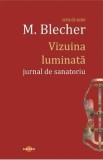 Vizuina luminata. Jurnal de sanatoriu - Max Blecher