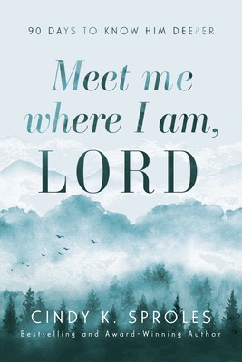 Meet Me Where I Am, Lord: 90 Days to Know Him Deeper foto