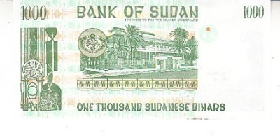 B11 8 - Bancnota foarte veche - Sudan - 1000 dinari 1996 foto