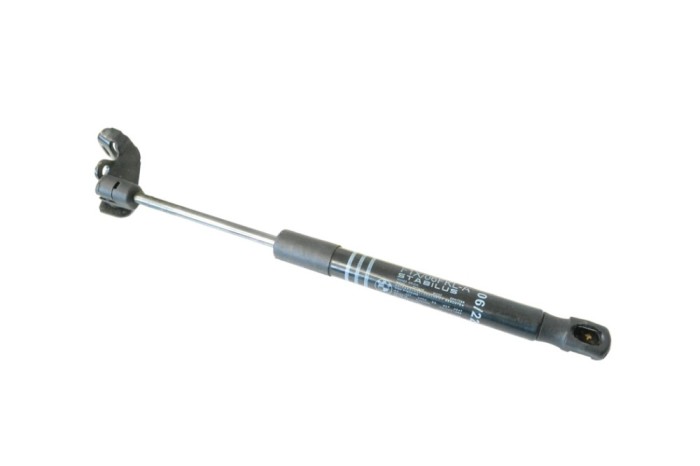 Amortizor capota st&acirc;nga față BMW 6 Cabrio F12 2012 OEM: 7309117 21884550