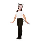 Set accesorii si make-up pisica pentru copii Universala 3-10 ani