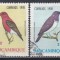 Mozambic 1978 - Păsări, Stampilat