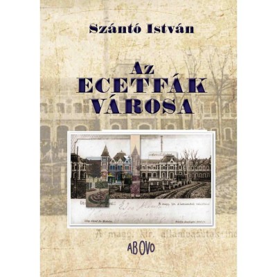 Az ecetf&amp;aacute;k v&amp;aacute;rosa - Sz&amp;aacute;nt&amp;oacute; Istv&amp;aacute;n foto