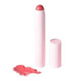 Cumpara ieftin Ruj &amp; Blush 2in1 It&rsquo;s up to you, SOFT PINK 01, 3,5 g, Blondesister
