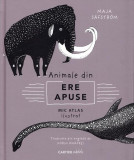 Mic atlas ilustrat despre animale din ere apuse - Hardcover - Maja S&auml;fstr&ouml;m - Cartier