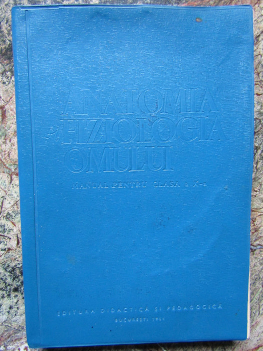 N. Santa, E. Sanielevici - Anatomia si fiziologia omului. Manual clasa a X-a