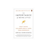 The Importance of Being Little: What Preschoolers Really Need from Grownups