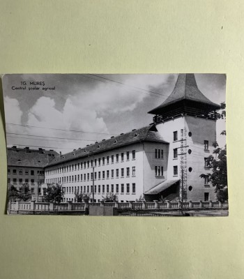 Carte poștală T&amp;acirc;rgul Mureș RPR foto