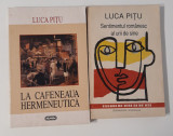 Luca Pitu La cafeneaua hermeneutica / Sentimentul romanesc al urii de sine